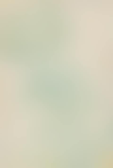 Kleine Blütendolde (preview)