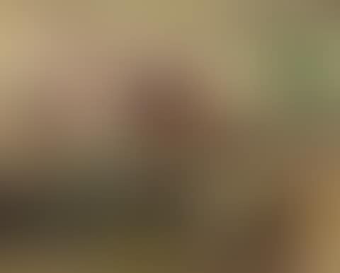 View into a stable with animals (preview)