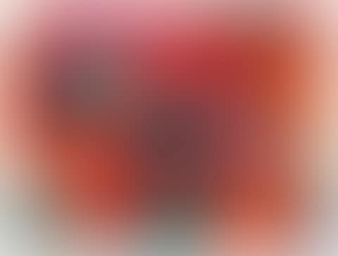 Roter Mohn (preview)