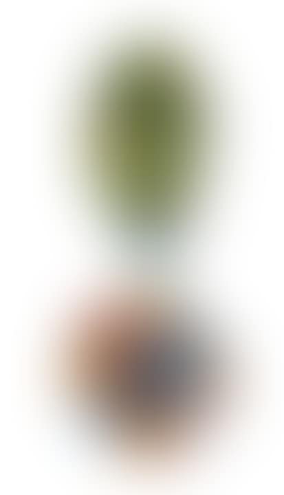 Untitled (preview)