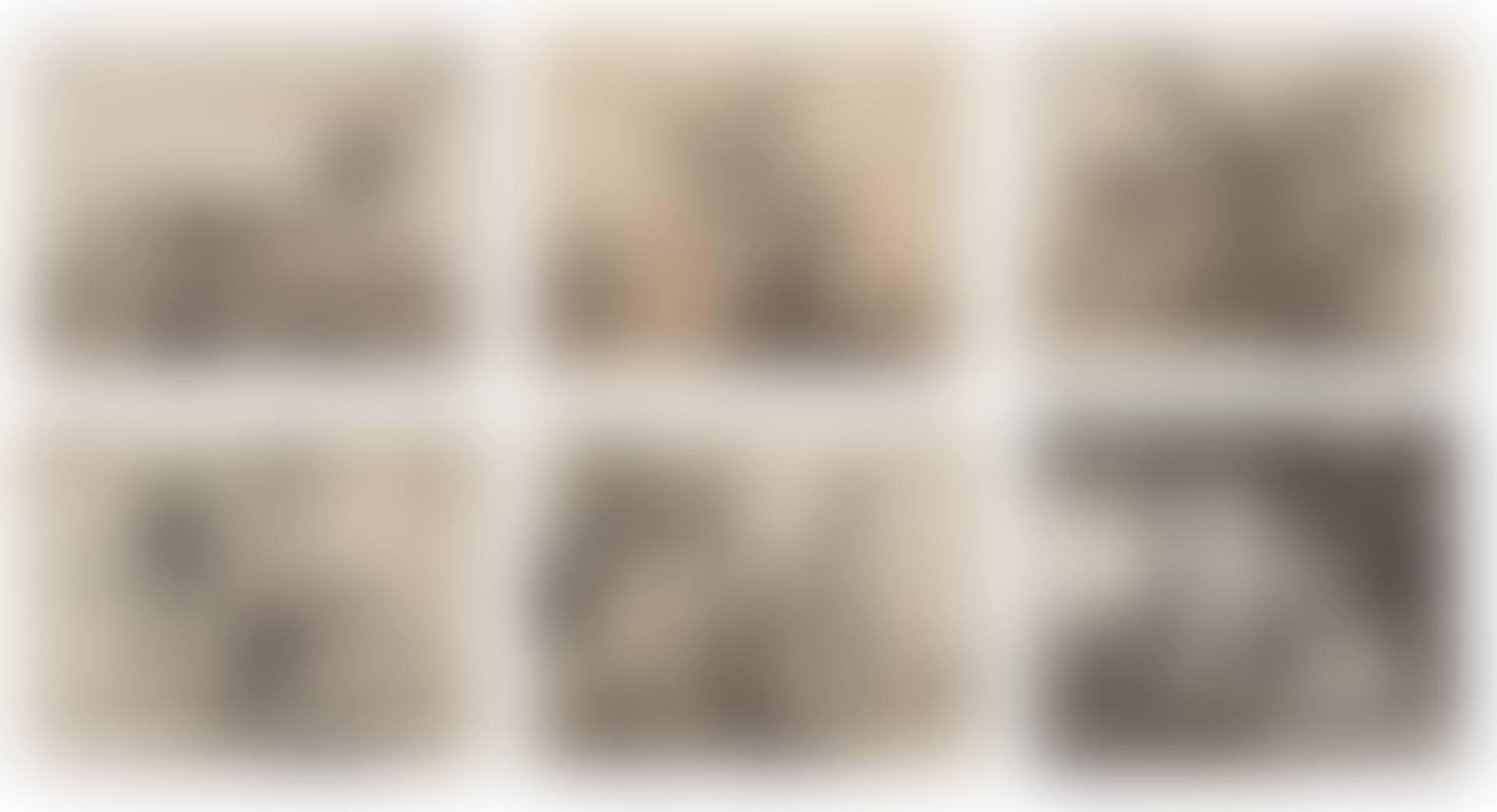 Los Desastres de la Guerra (preview)
