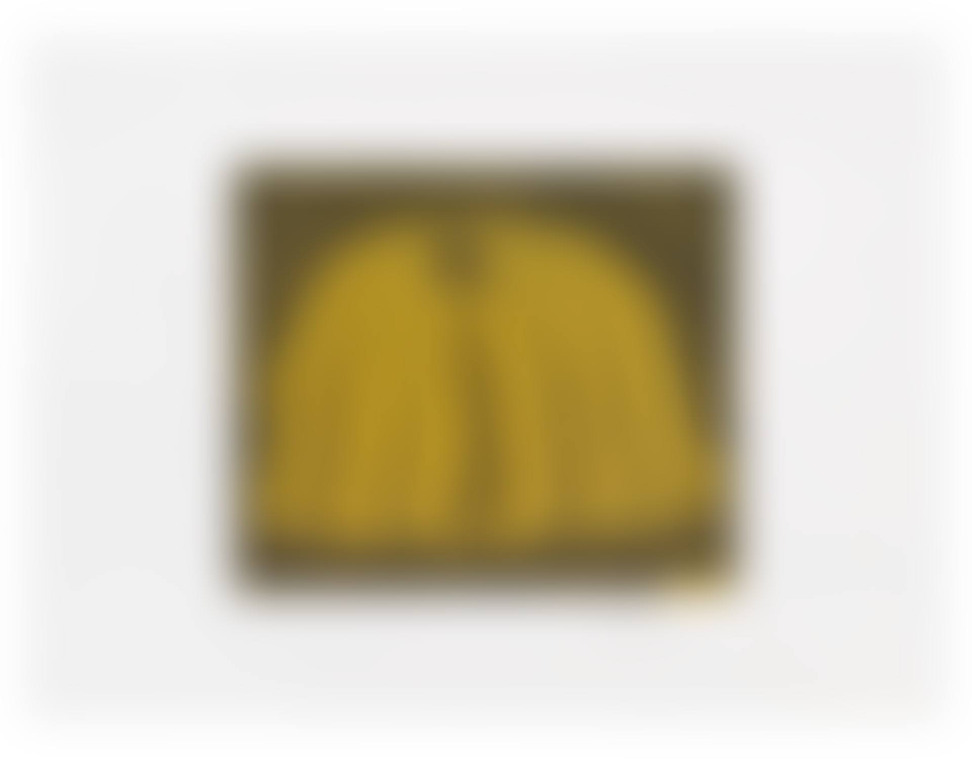 Pumpkin  (Yellow) (preview)