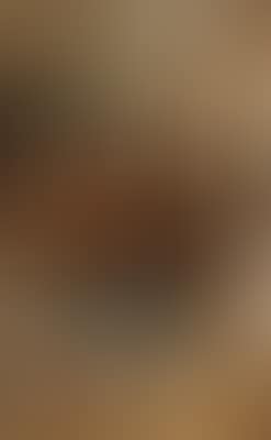 Salonluster (preview)