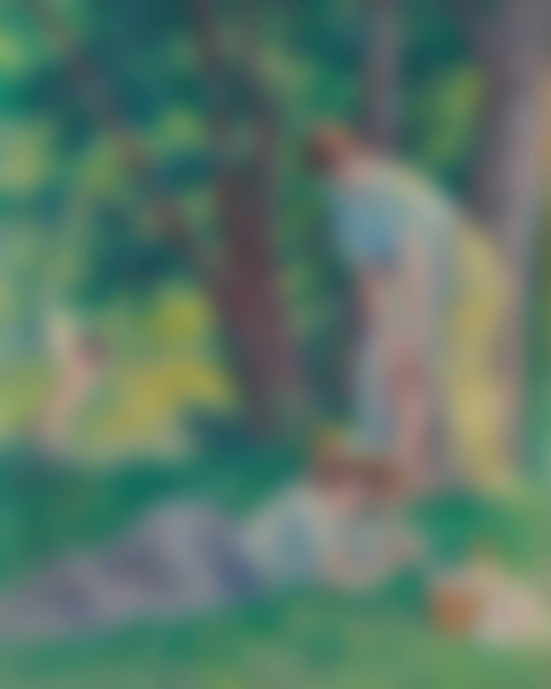 La Baignade (preview)