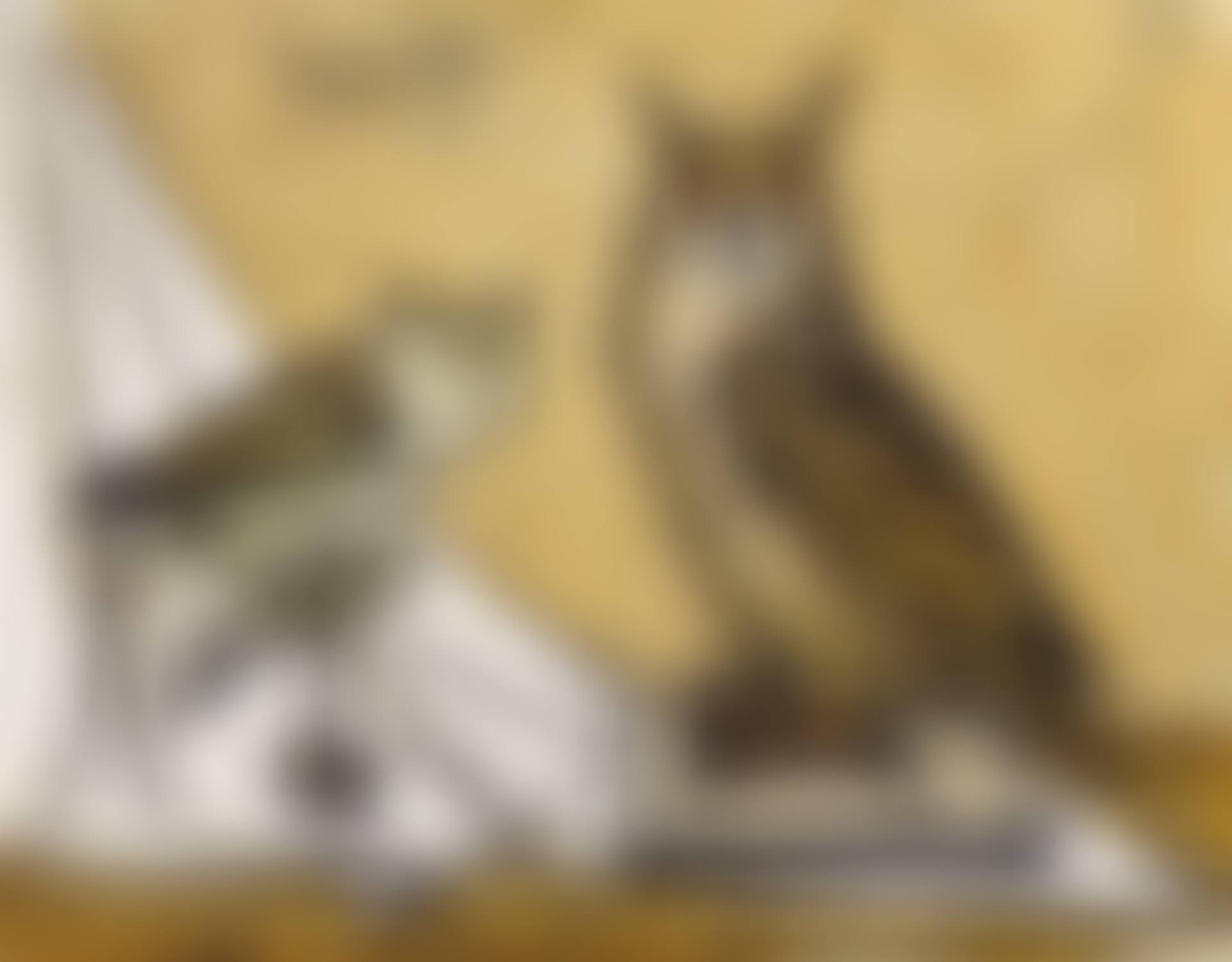 Grand hibou et petit duc (preview)