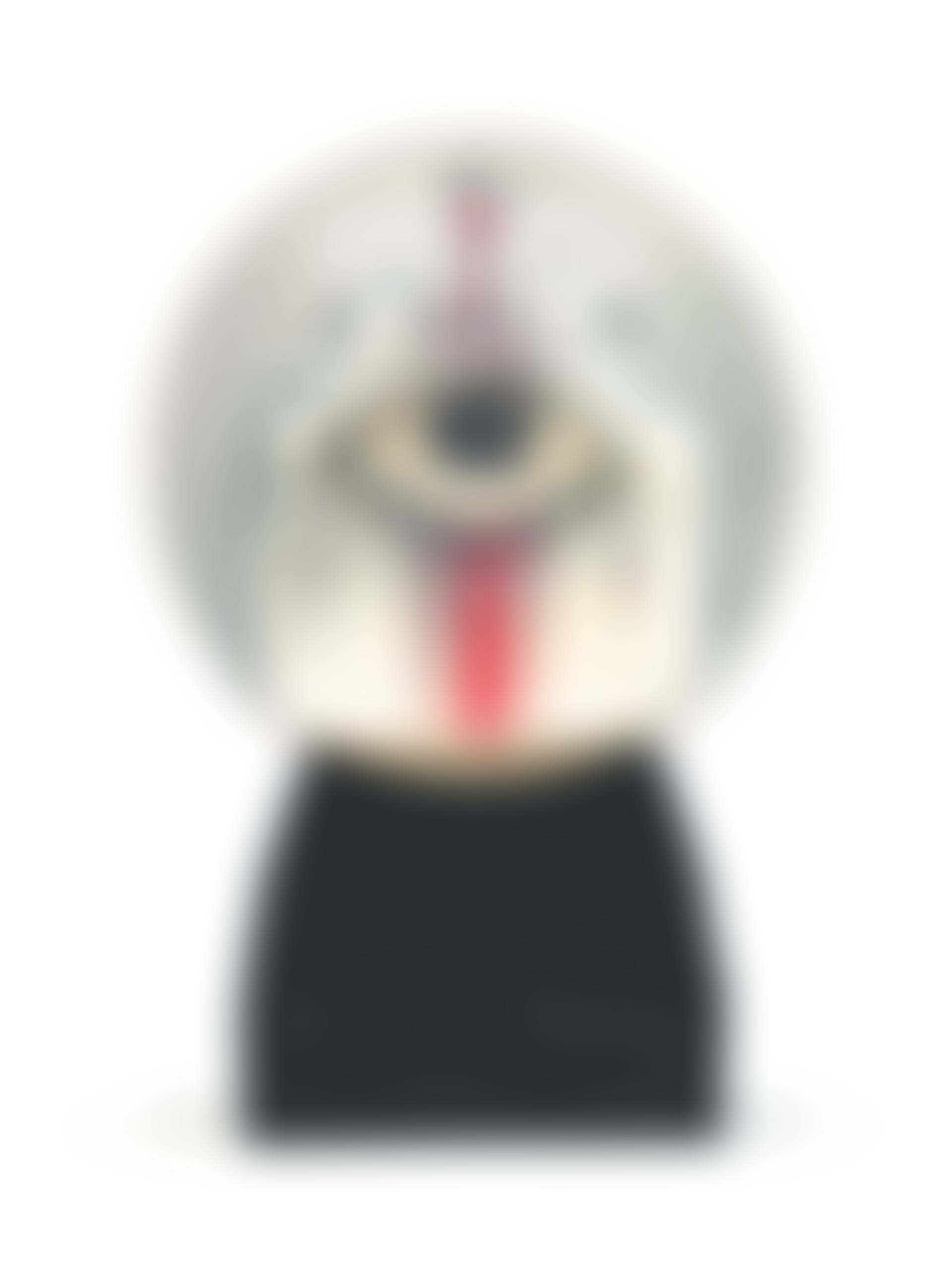 Boule sans neige (preview)