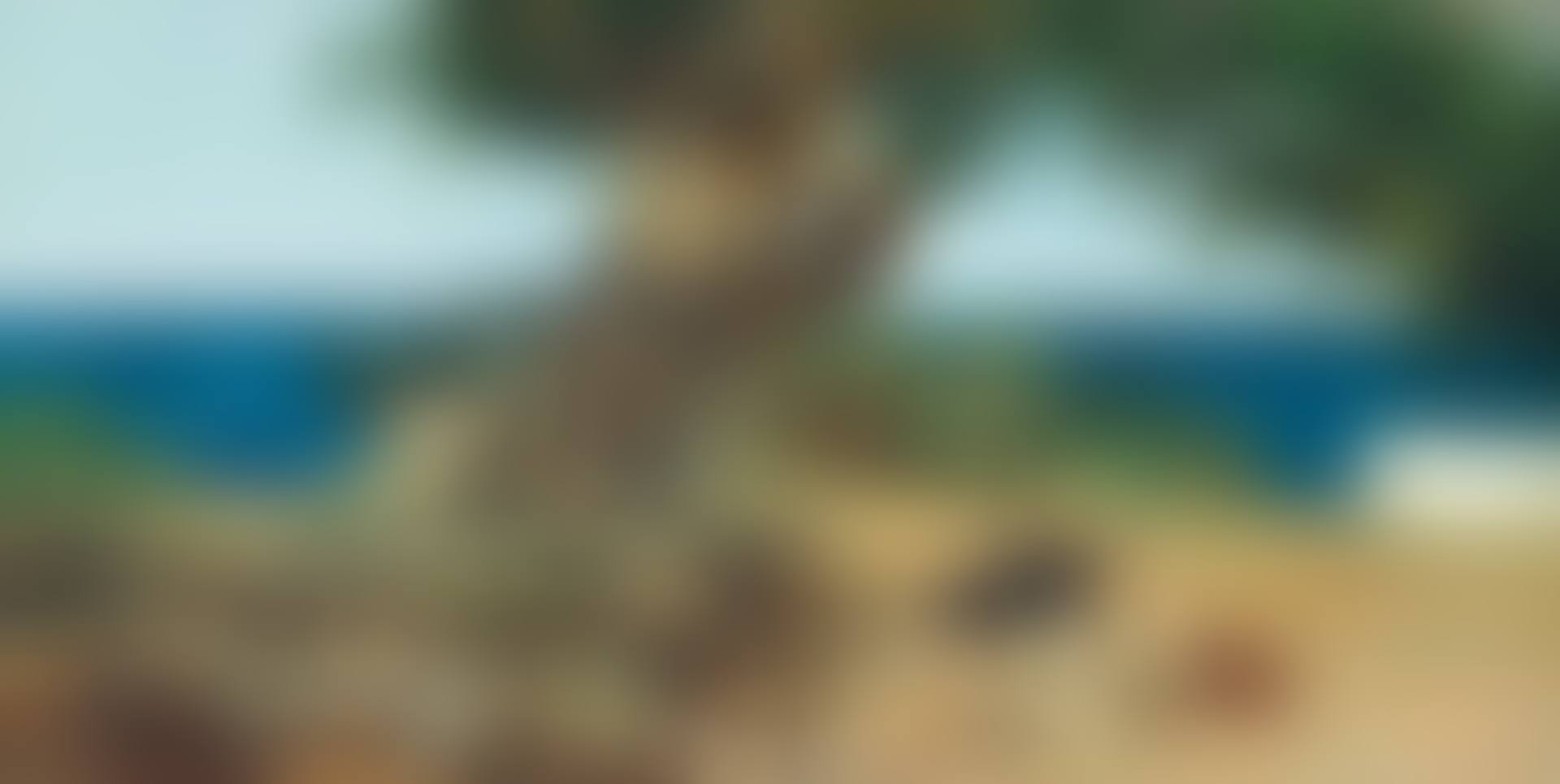 Algarrobo (The Carob Tree) (preview)