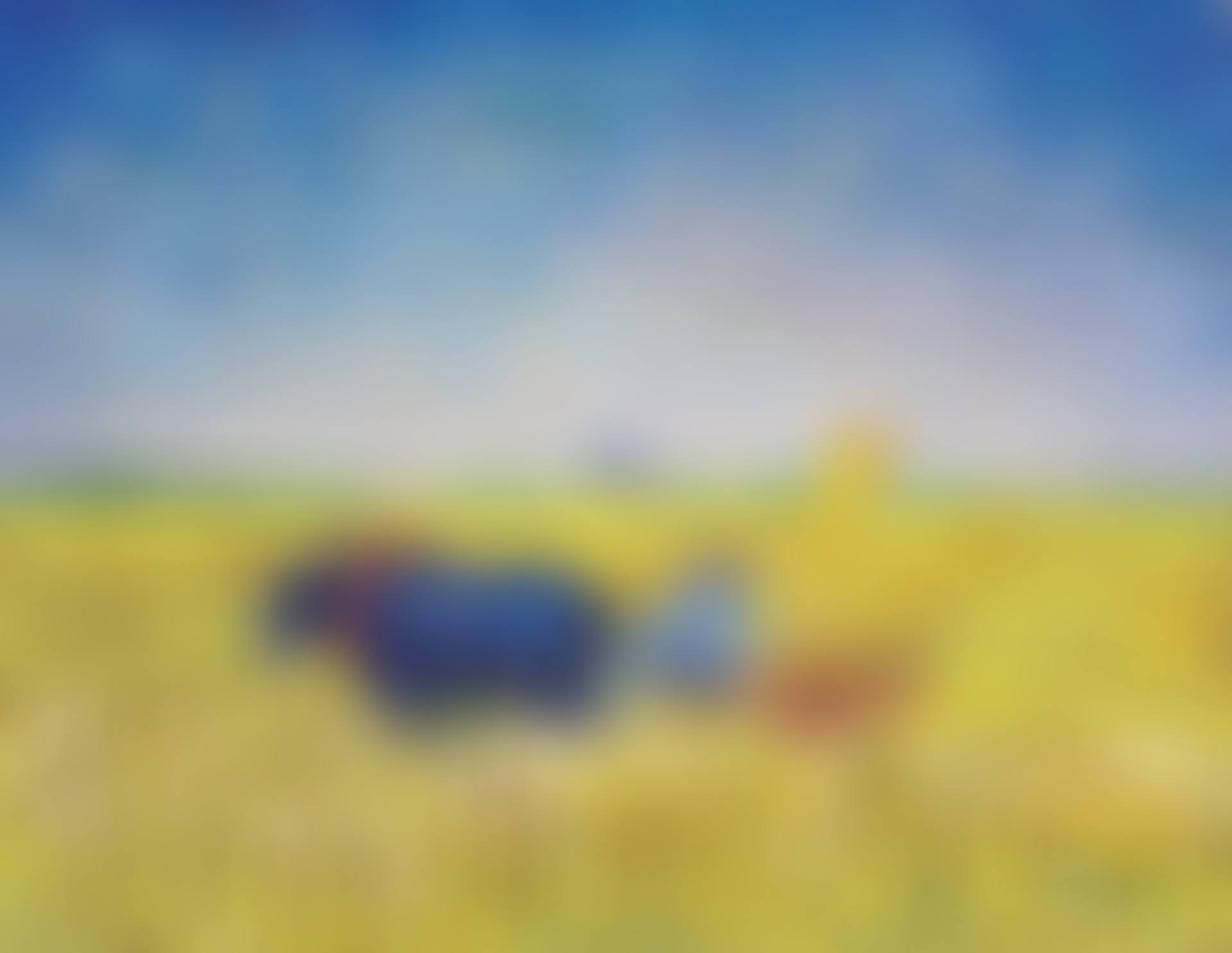 La Moisson (preview)