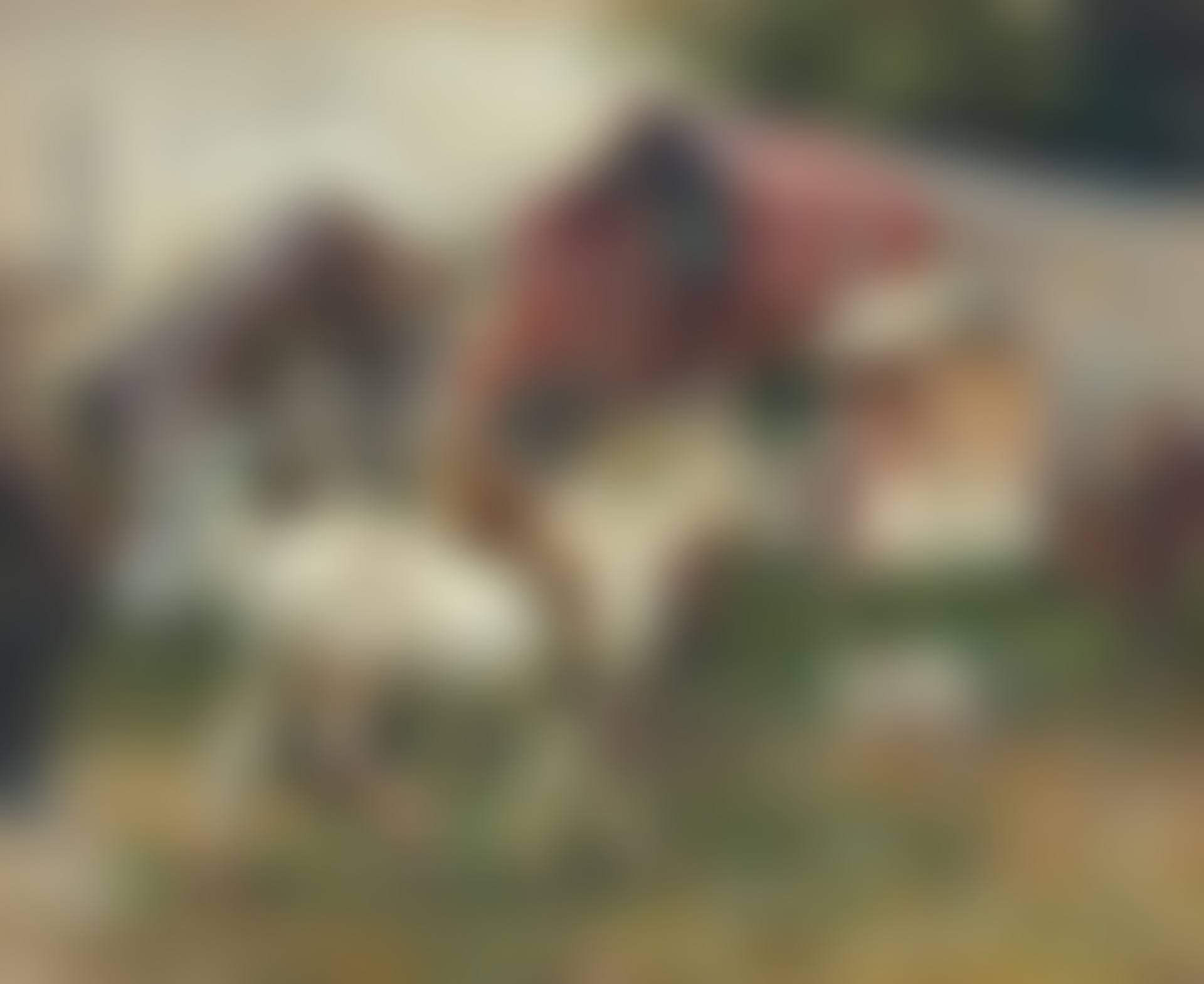 The Norwich Fair (preview)