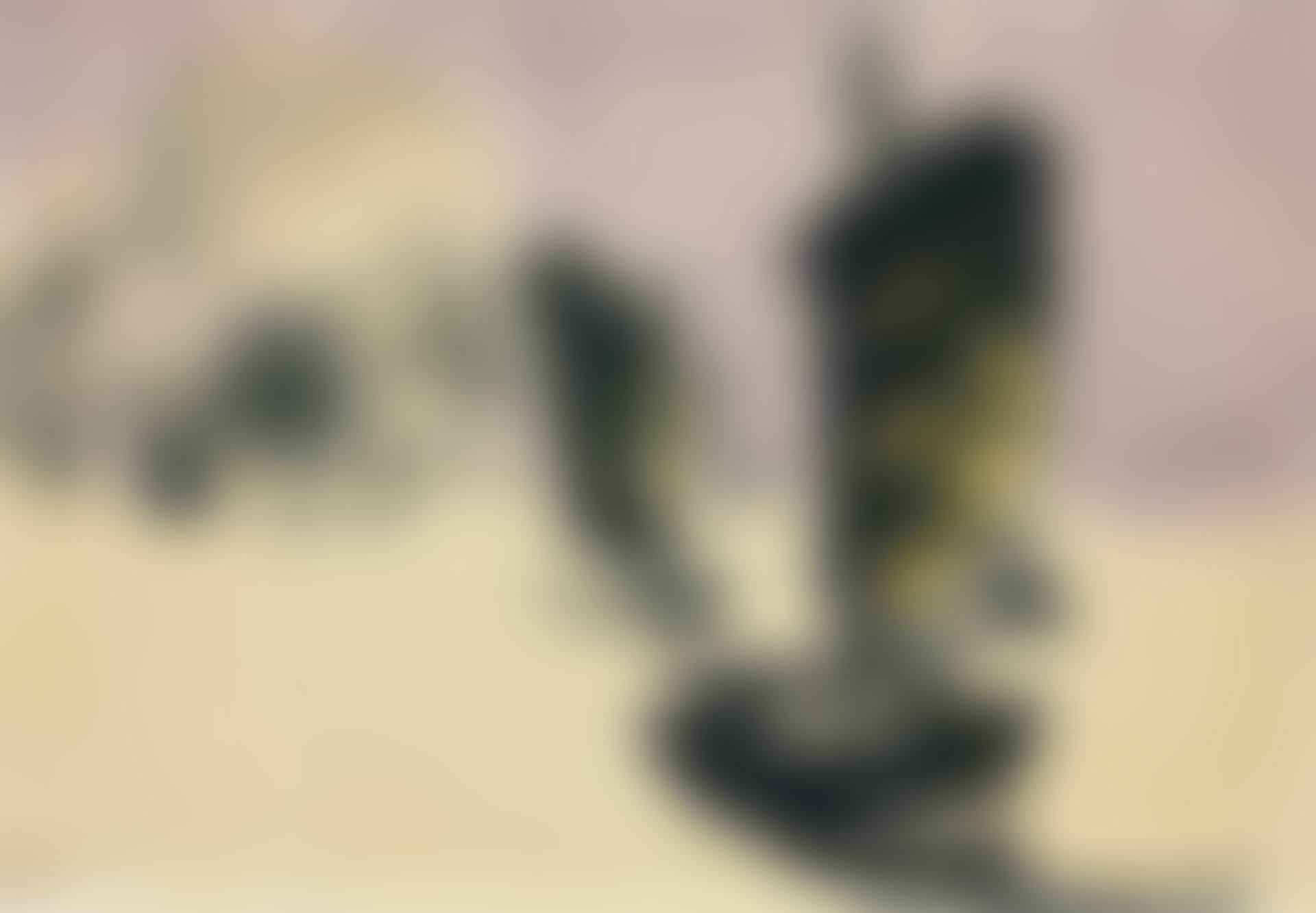 Dschunken unter hellem, violetten Himmel (preview)