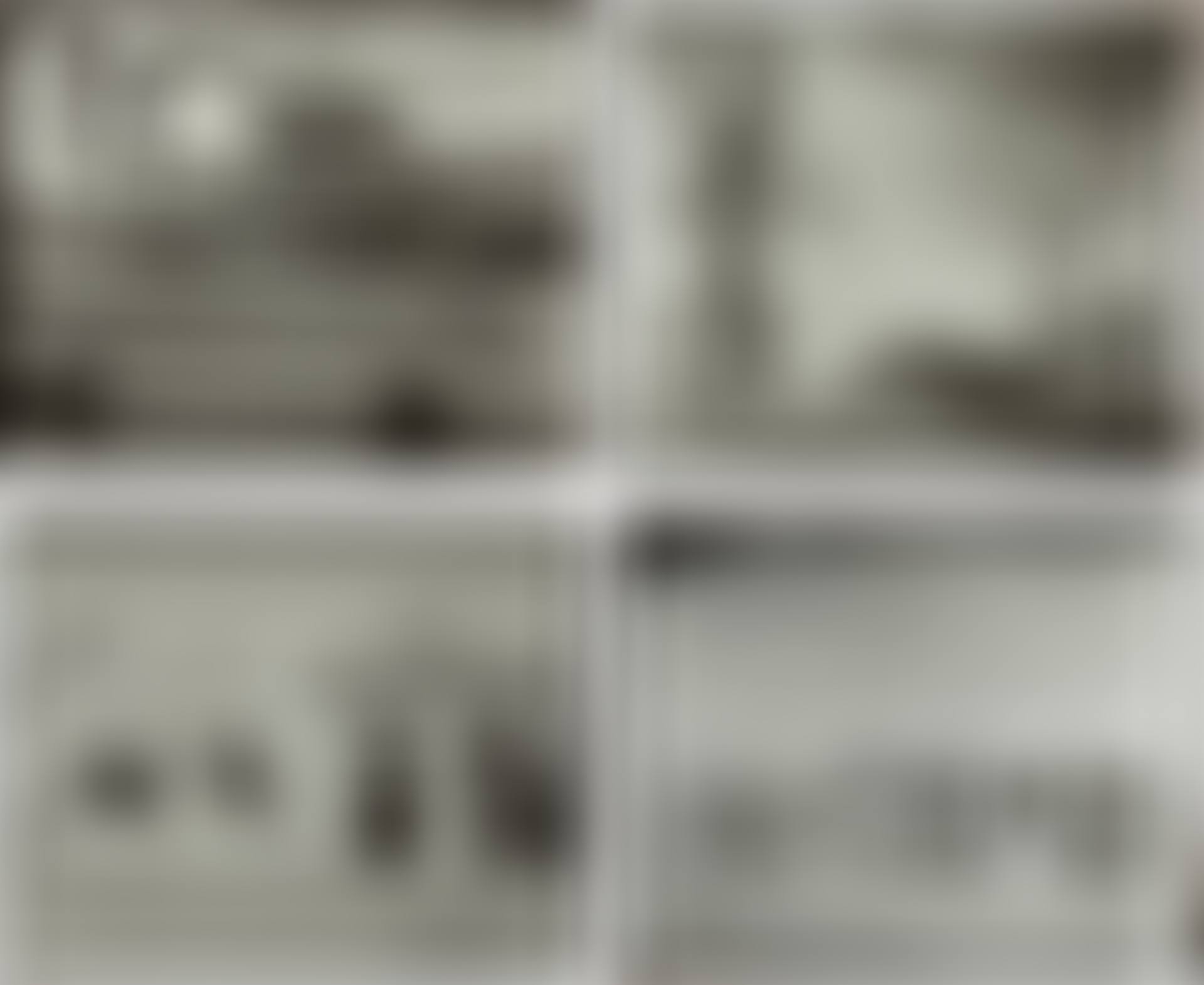 Selected Images (preview)