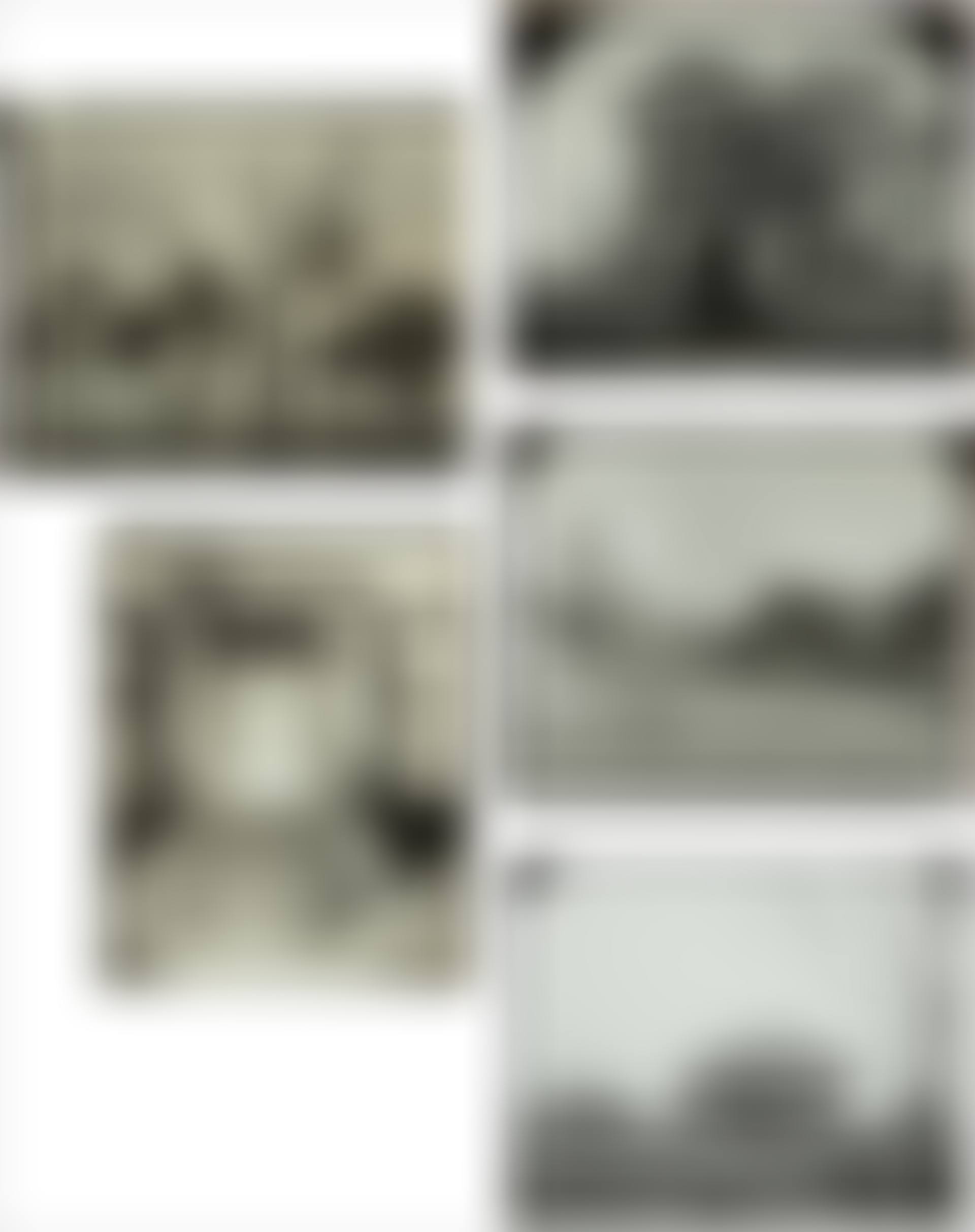 Selected Images (preview)