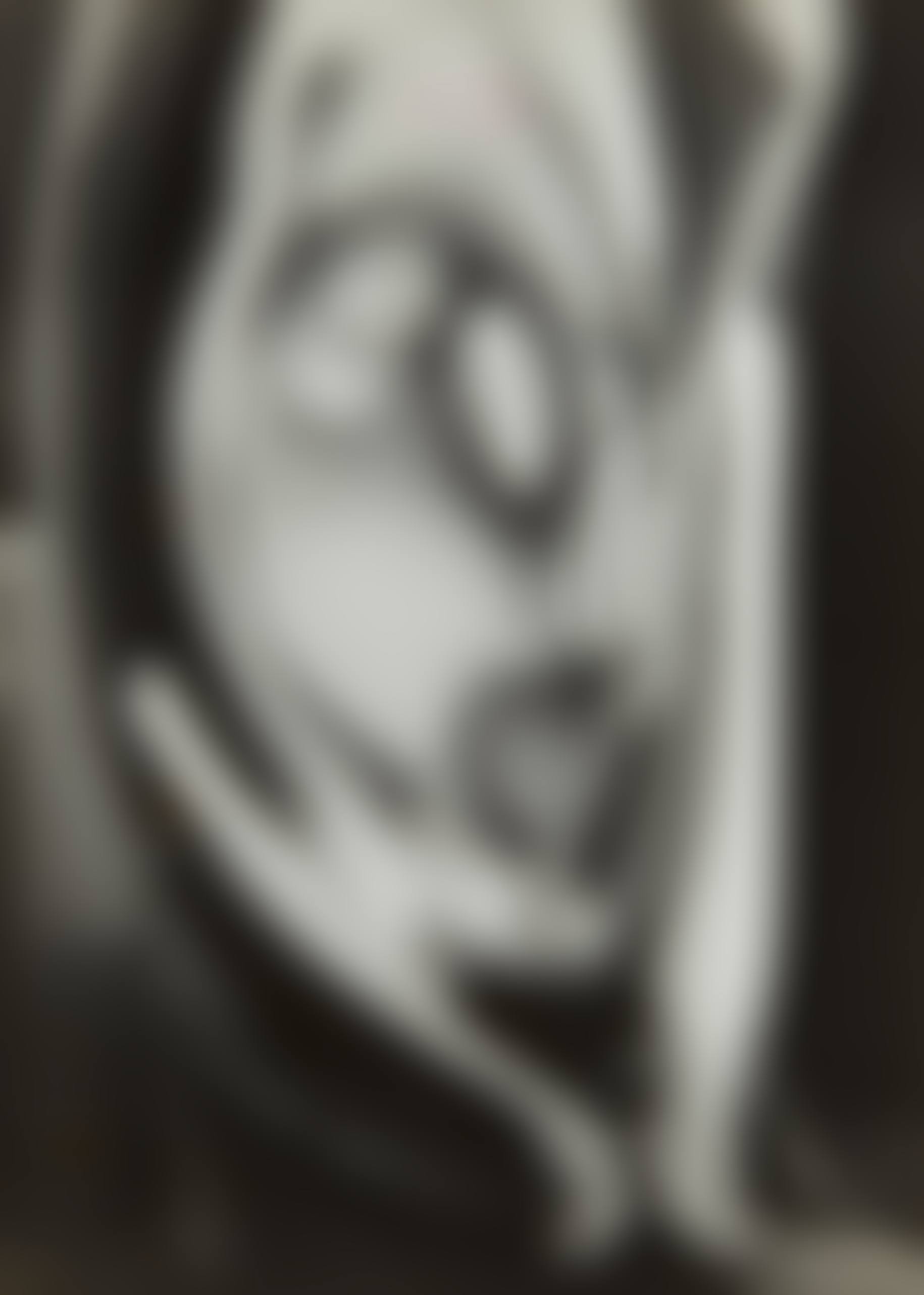 Untitled (Distortion #117) (preview)