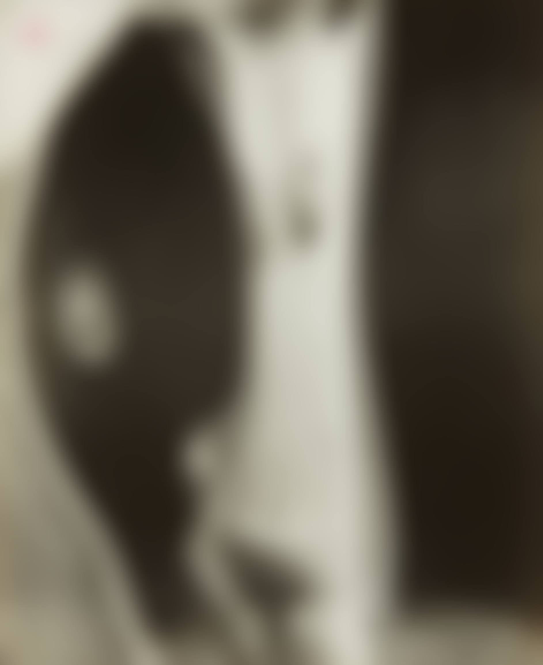 Untitled (Distortion #116) (preview)