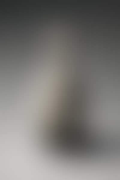 Vase (preview)
