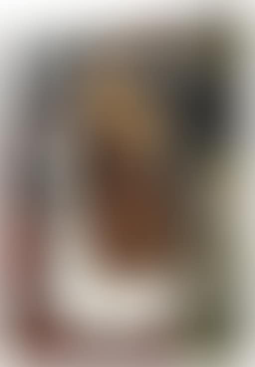 Untitled (preview)