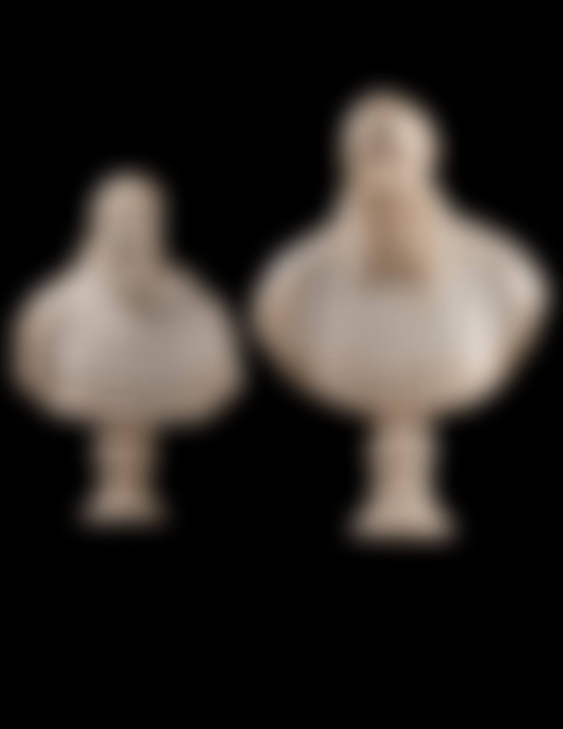 A pair of cardinals (preview)