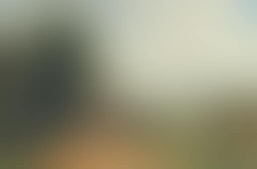 River Test above Stockbridge, Hampshire (preview)