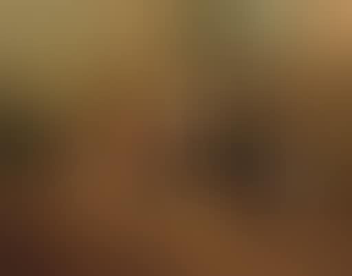 Foxhounds and a Lakeland terrier by a stable door (preview)