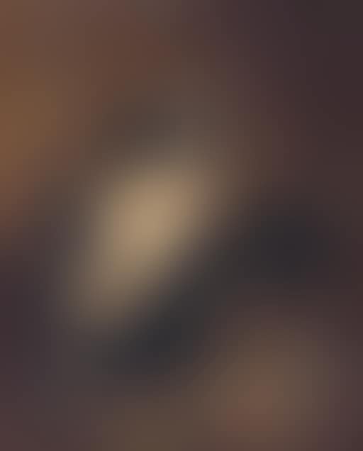 Three King Charles spaniels (preview)