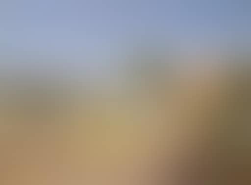 Paysage de Provence (preview)