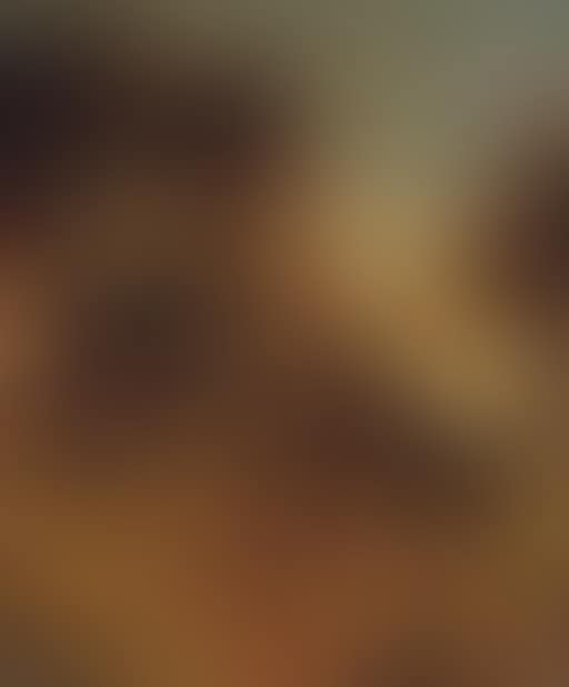 Gypsy caravan (preview)