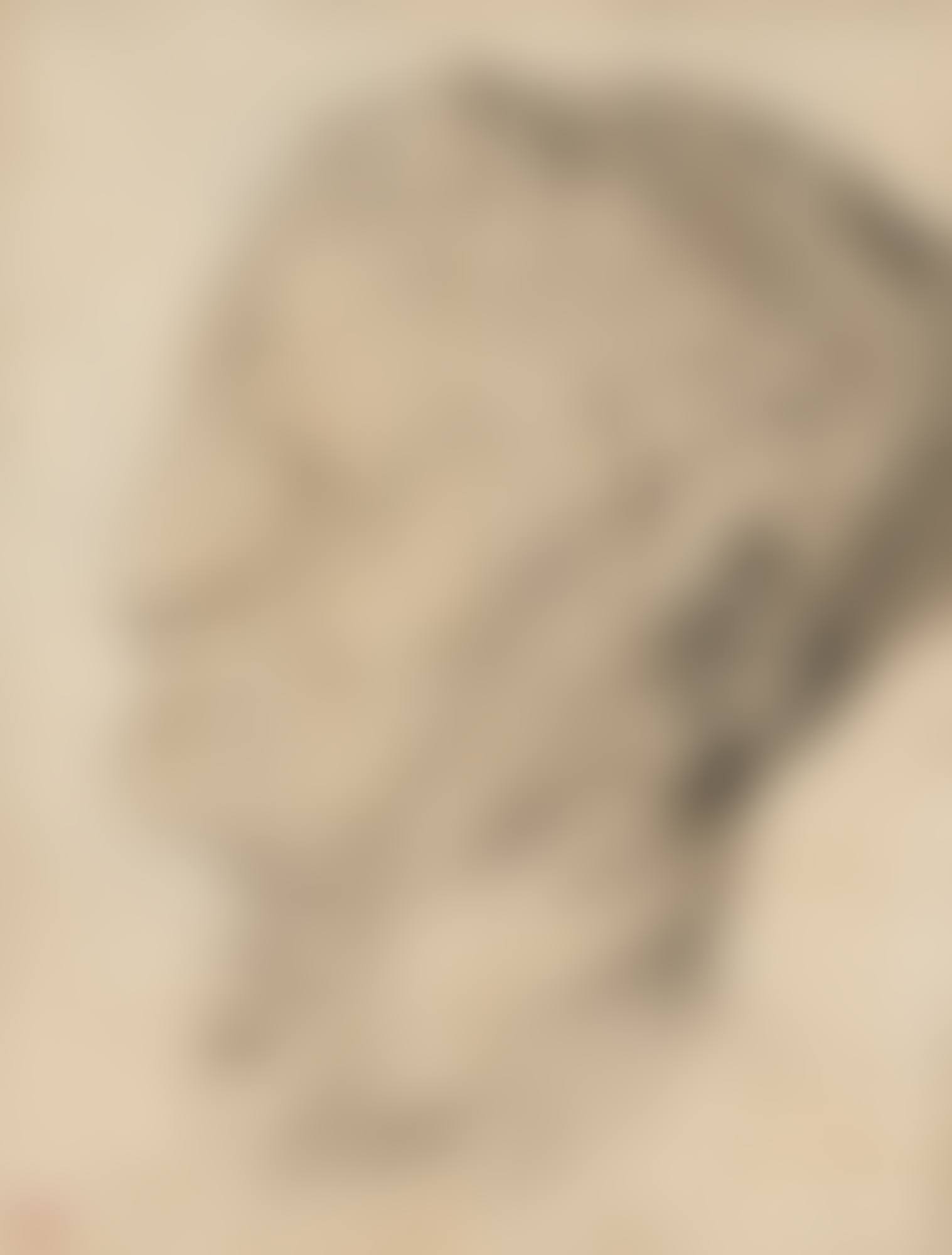 TÊTE D'UN PERSONNAGE AGÉ, D'APRÈS L'ANTIQUE (preview)