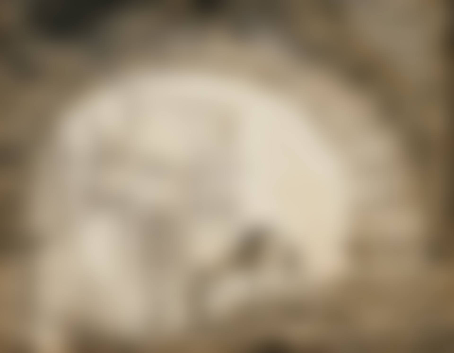 MULETIER MARCHANT VERS L'ARC DE TITUS (preview)
