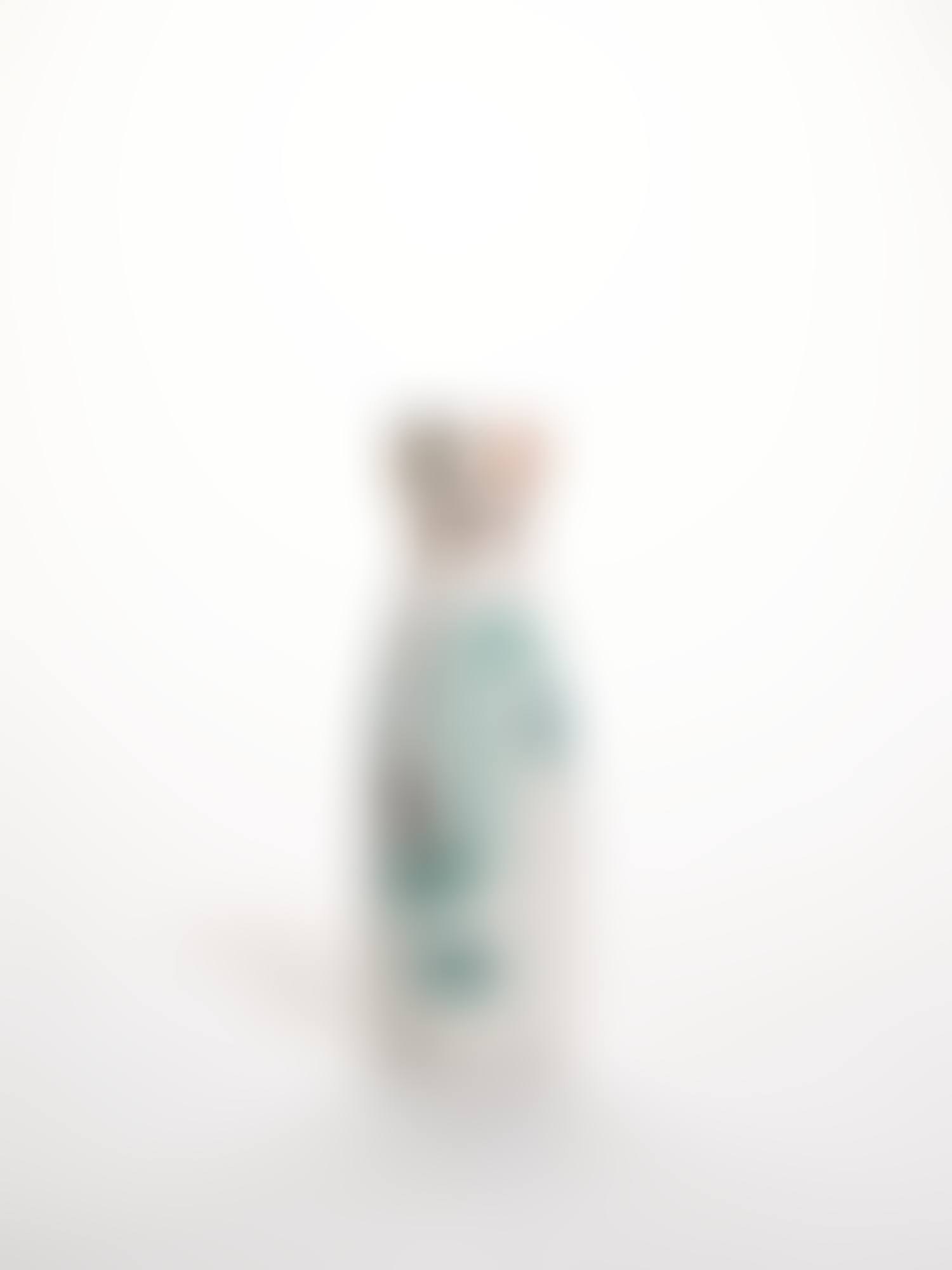VISAGE (preview)