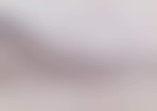 Ferry boat Duclare (preview)