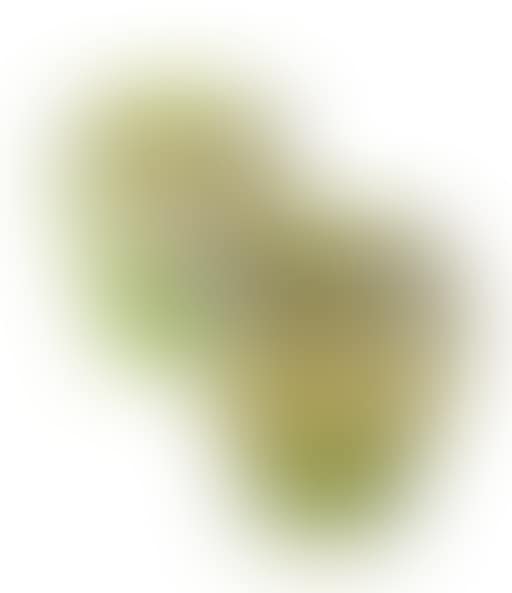 A Pair Of Favrile Glass Shades (preview)