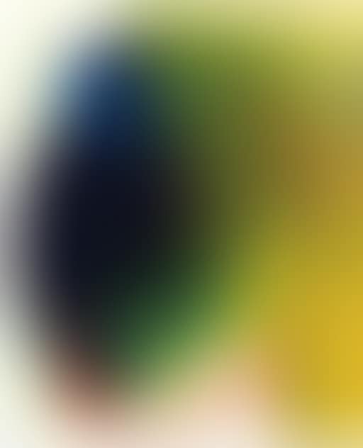 Phenomena Birth of the Phenomenon Saint Paul de Vence (preview)