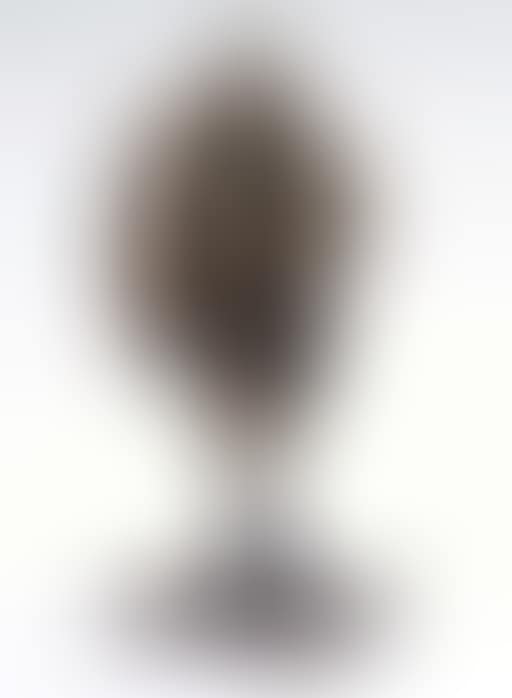 Untitled (preview)