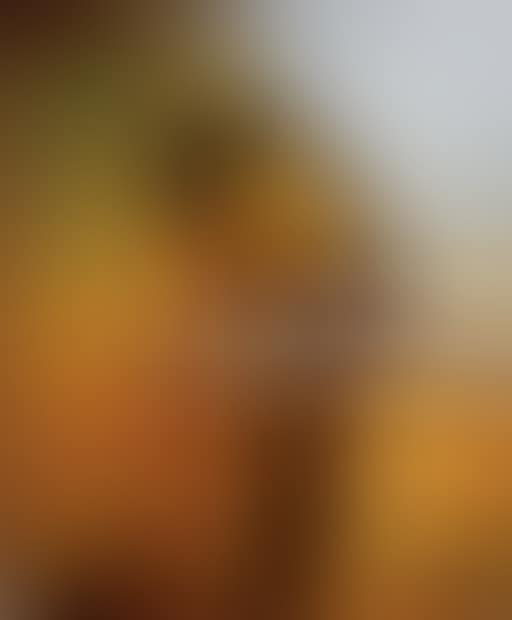 Hooded Warbler II (preview)