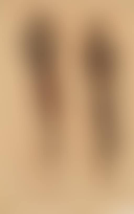 Study of two echorche legs (preview)
