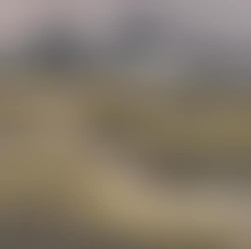 Spring landscape (preview)