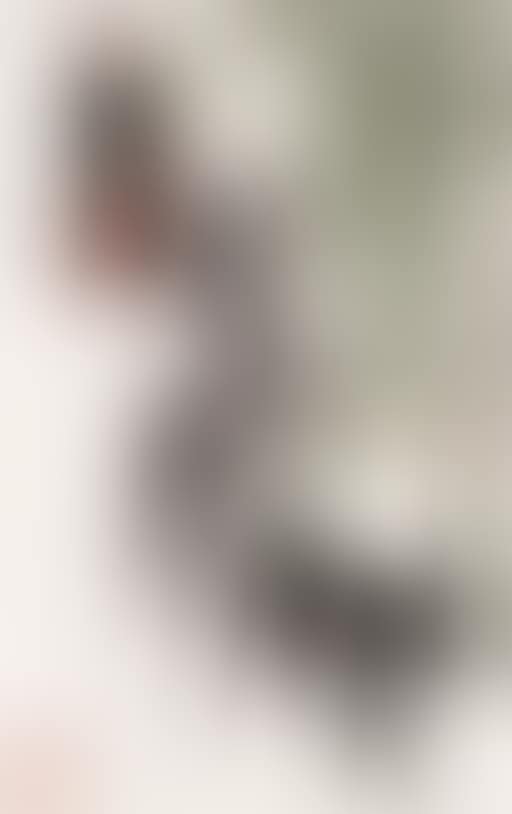 Donkeys (preview)