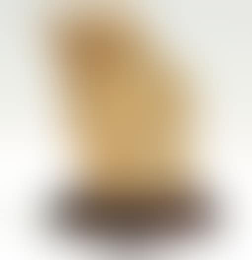 Portrait of a lady (preview)