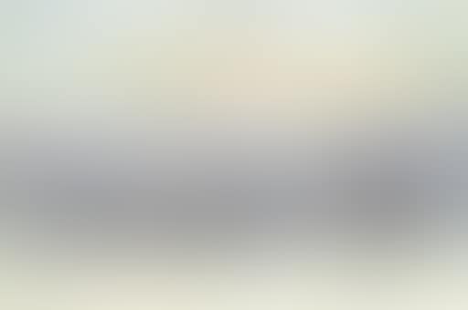 Memory of 1914-1918, for some there are with no memories (preview)