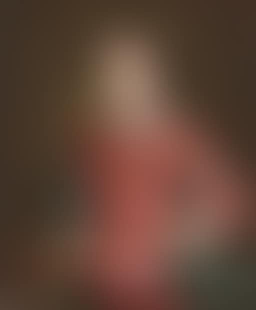 Portrait of a boy, three-quarter length, in red slashed doublet (preview)