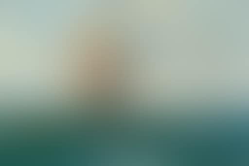 Light winds in sunny waters (preview)