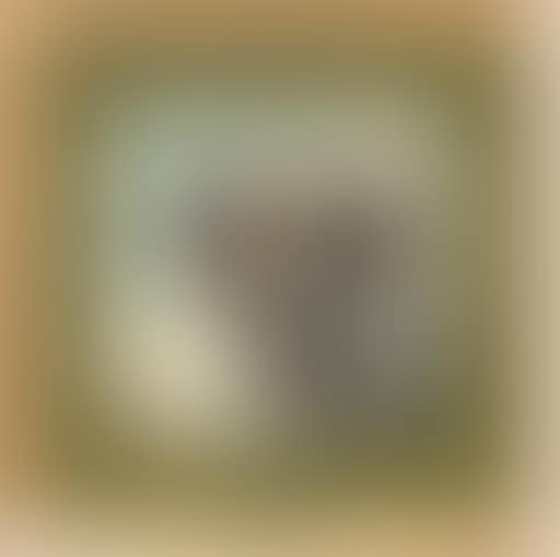 A St. Bernard (preview)