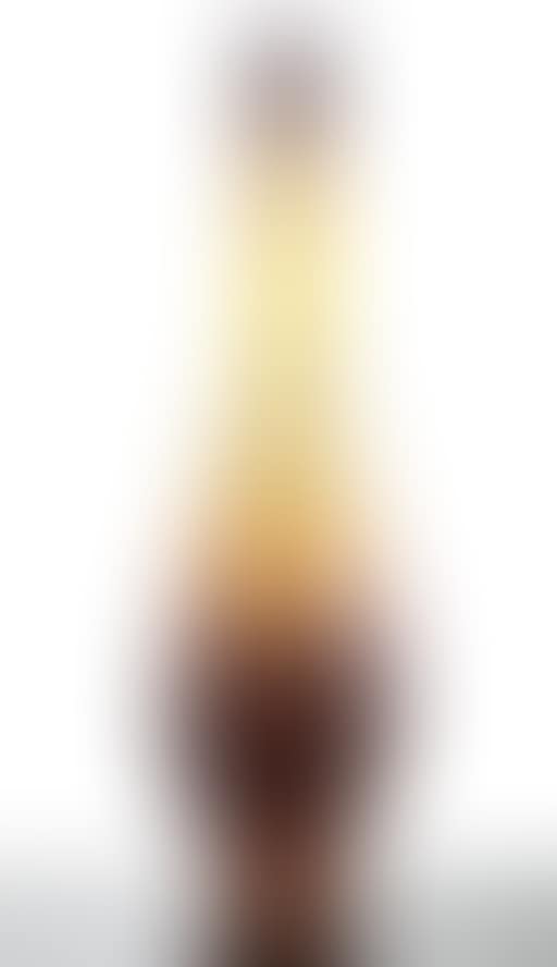 L'orge Intercalaire Parlante Vase (preview)