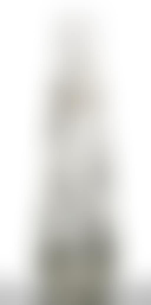 Vase (preview)