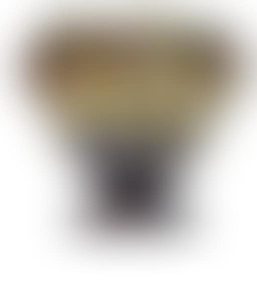 Vase (preview)