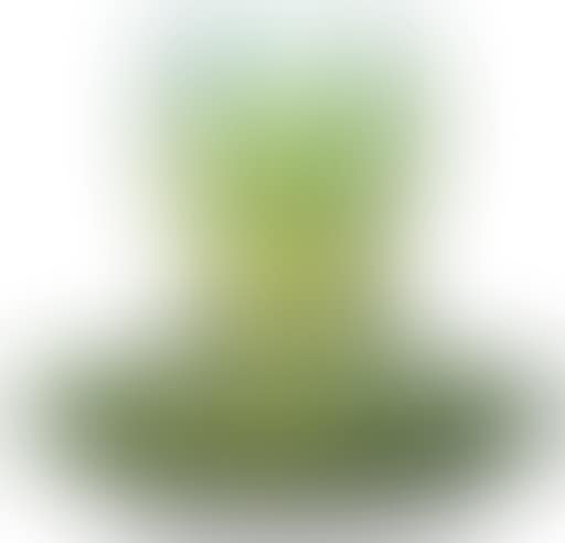 Orchid Vase (preview)