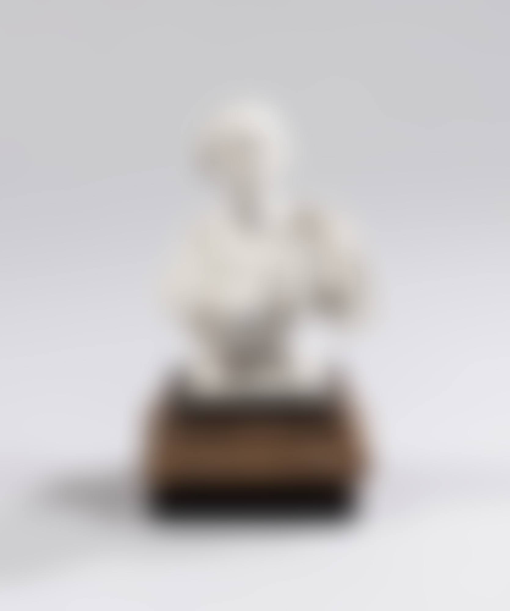 Buste de Louis XV en biscuit de probablement Sèvres, probablement vers 1761-1763 (preview)