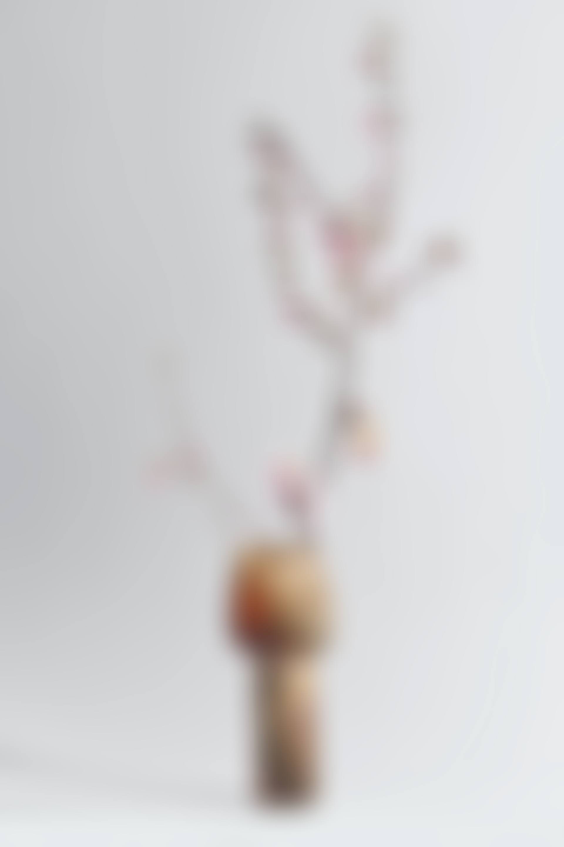 VASE-SCULPTURE, VERS 1970 (preview)