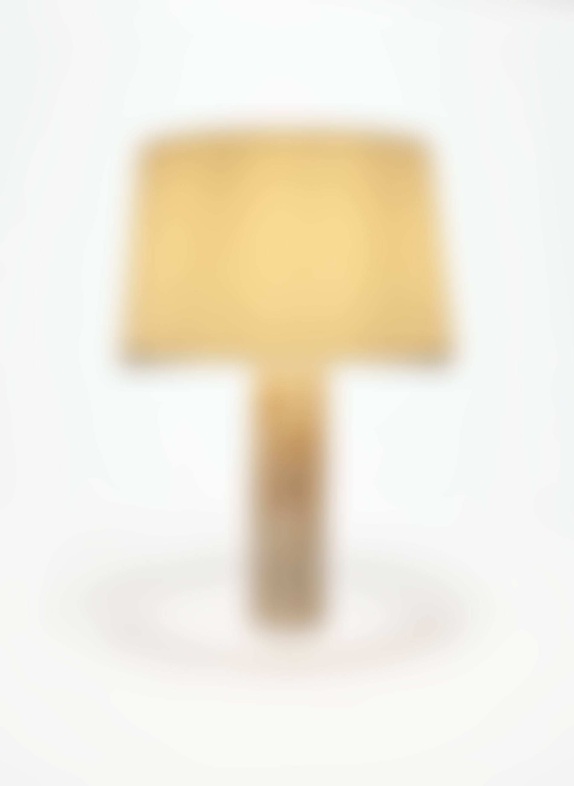 LAMPE DE TABLE, LE MODÈLE CRÉÉ VERS 1960 (preview)