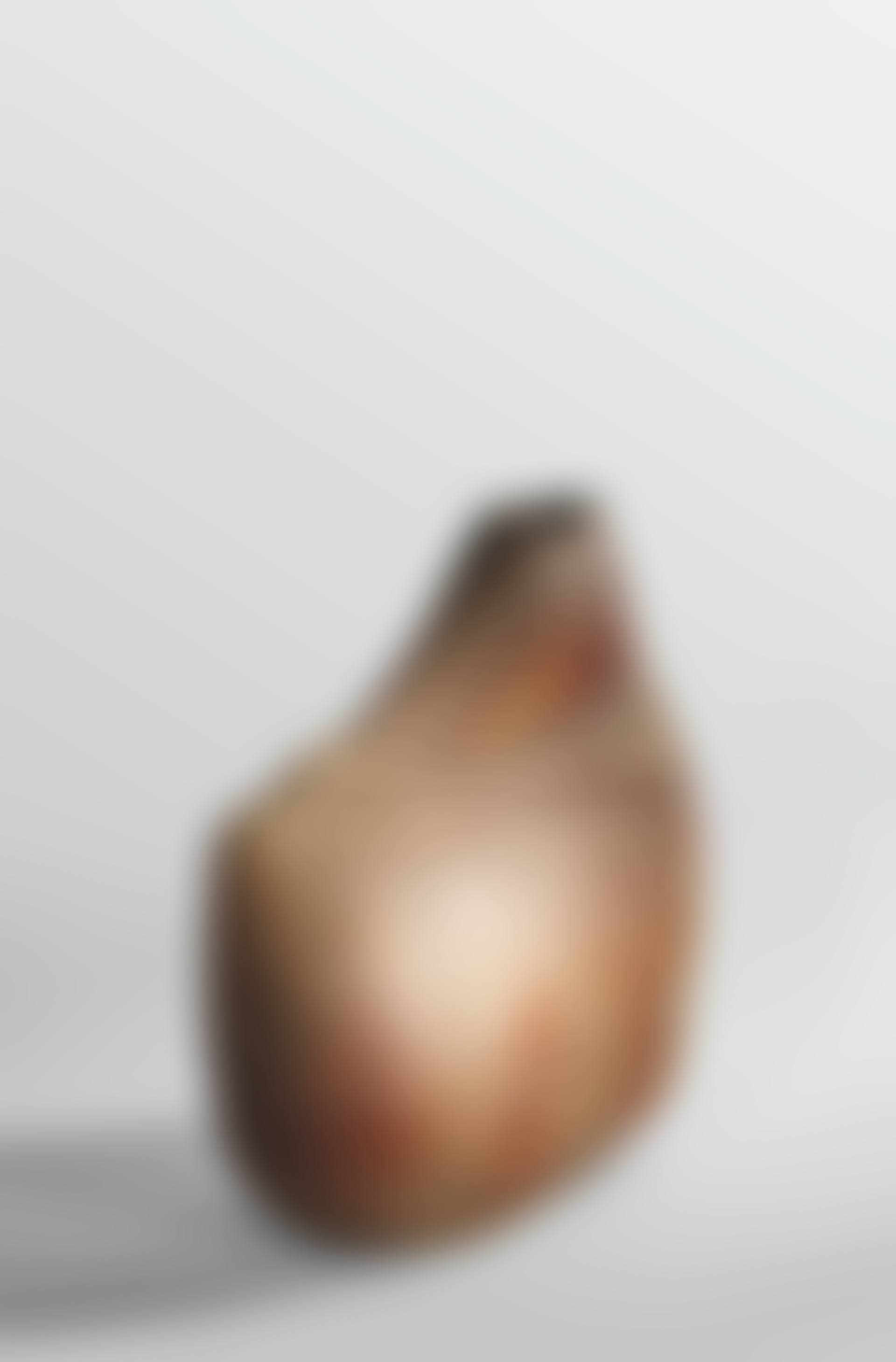 VASE-SCULPTURE, VERS 1970 (preview)